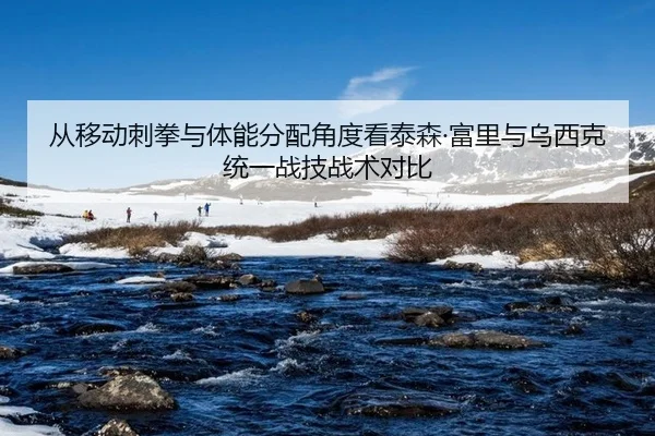 从移动刺拳与体能分配角度看泰森·富里与乌西克统一战技战术对比